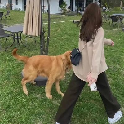奔跑吧！兄弟